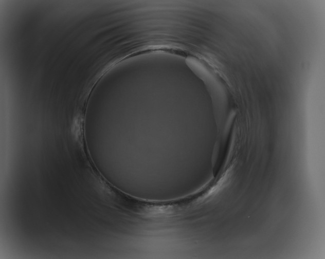 X0000089701369200706281447