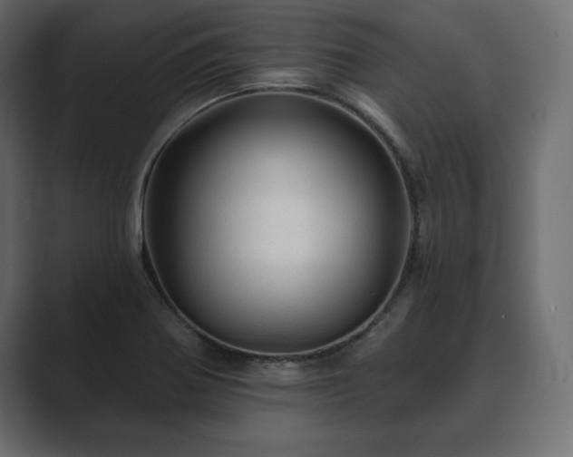 X0000089701370200706281447