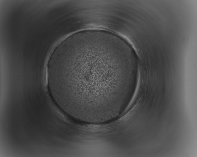 X0000089701371200706281446