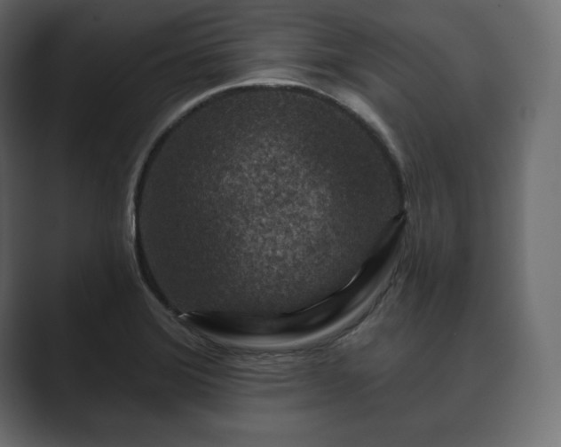 X0000089701372200706281446