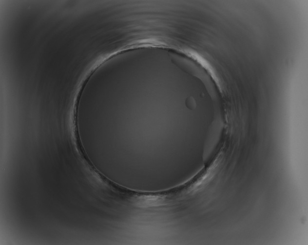 X0000089701373200706281446