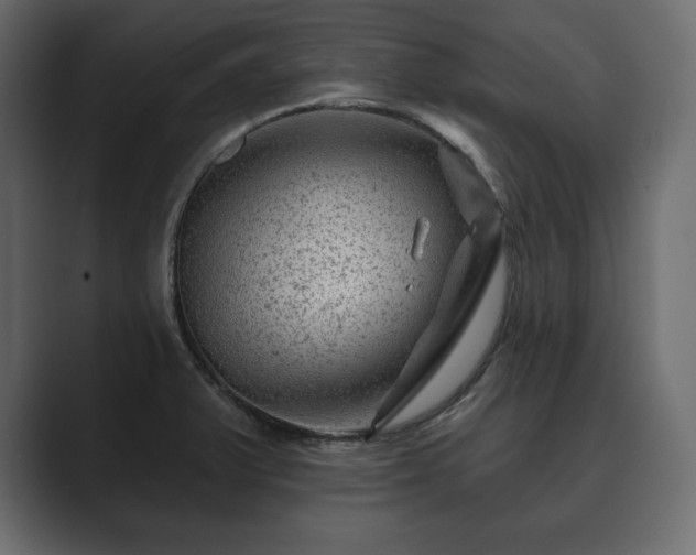 X0000089701375200706281446