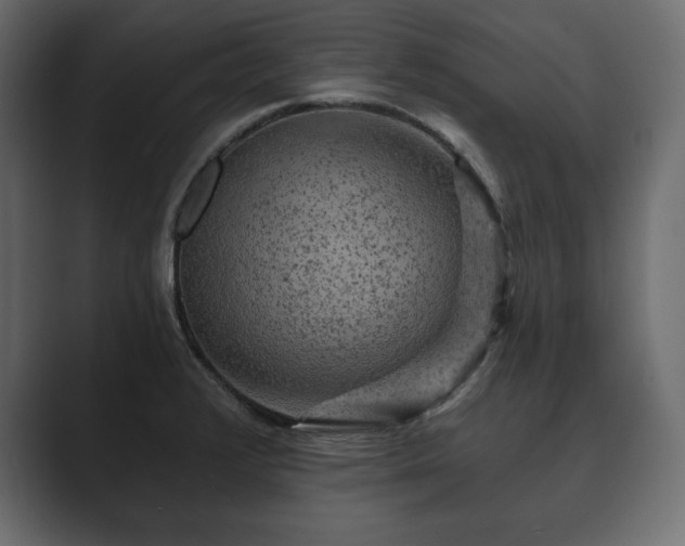 X0000089701376200706281446