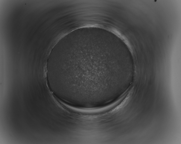 X0000089701377200706281446