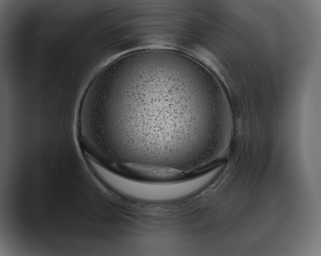 X0000089701379200706281446