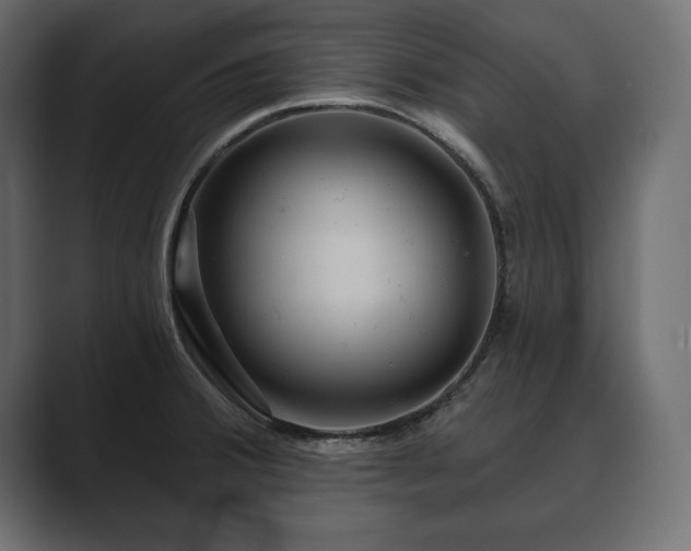 X0000089701380200706281446