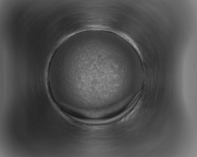 X0000089701381200706281446