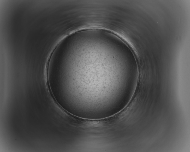 X0000089701382200706281446