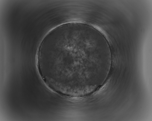 X0000089701383200706281446