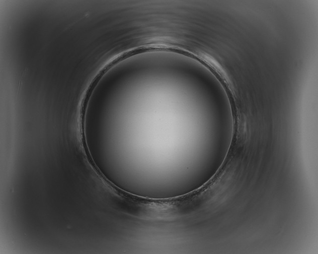 X0000089701384200706281446