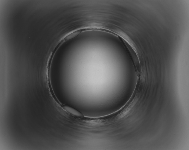 X0000089701388200706281446