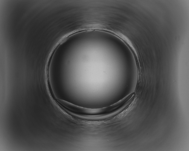 X0000089701389200706281446