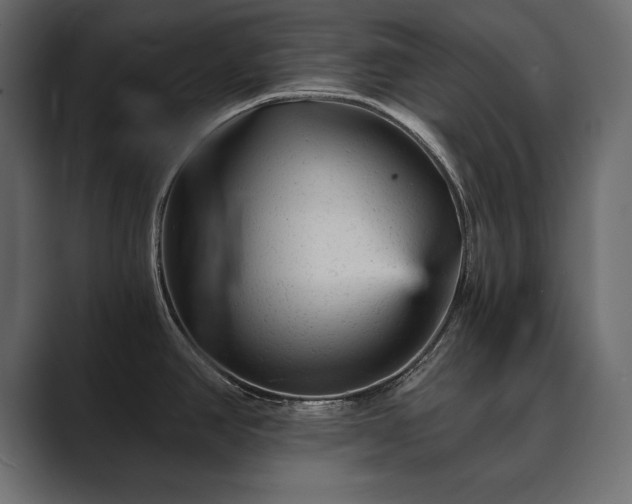 X0000089701390200706281446