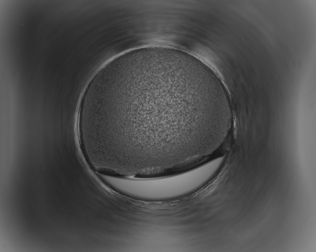 X0000089701391200706281446