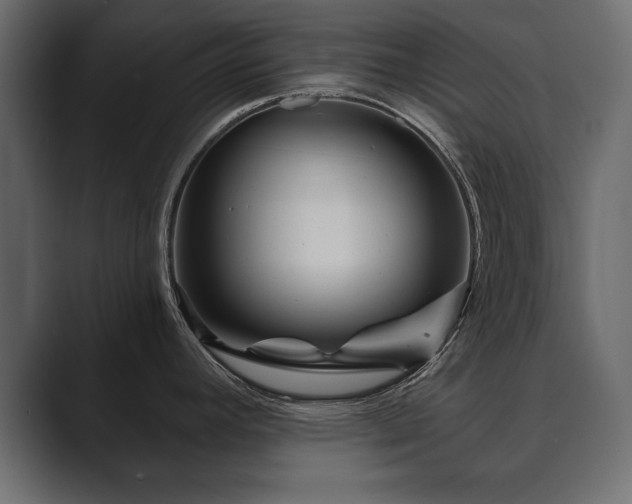 X0000089701392200706281446