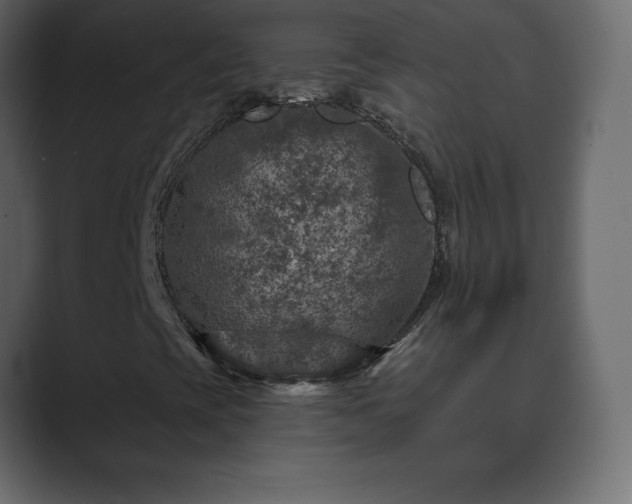 X0000089701393200706281446