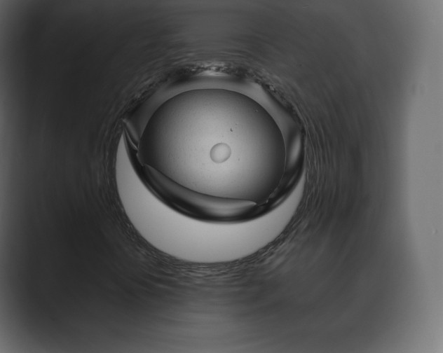 X0000089701394200706281446