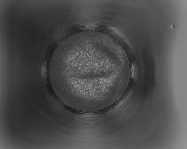 X0000089701395200706281446