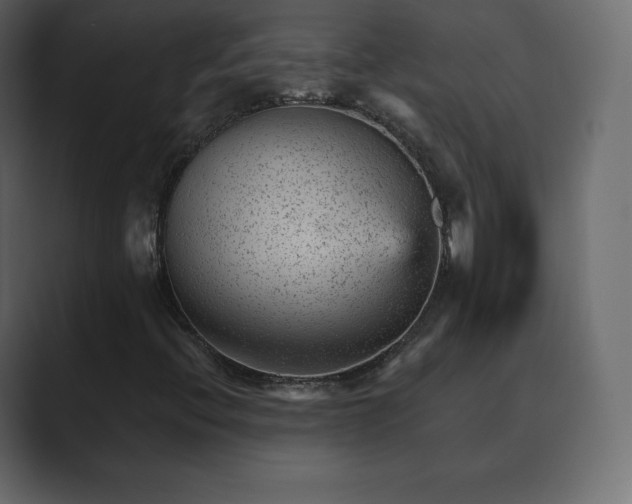 X0000089701396200706281446