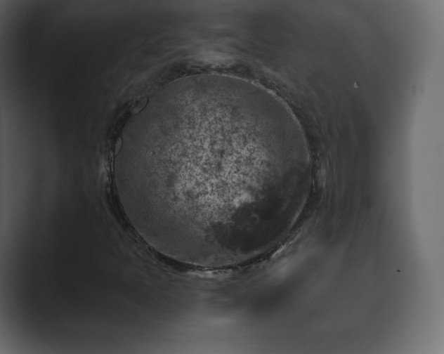 X0000089701397200706281446