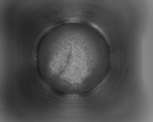 X0000089701403200706281446