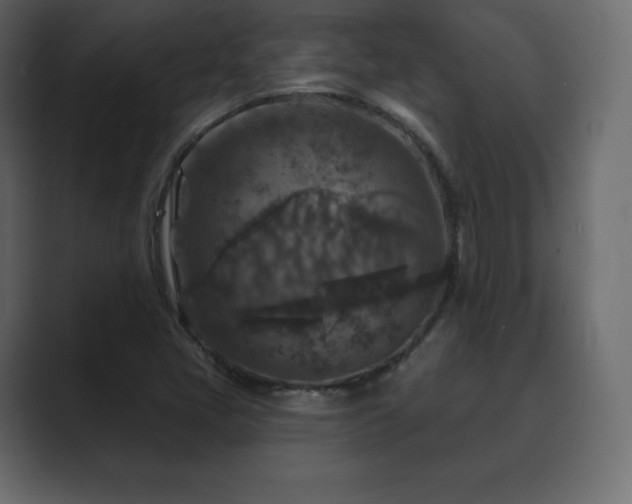 X0000089701405200706281446