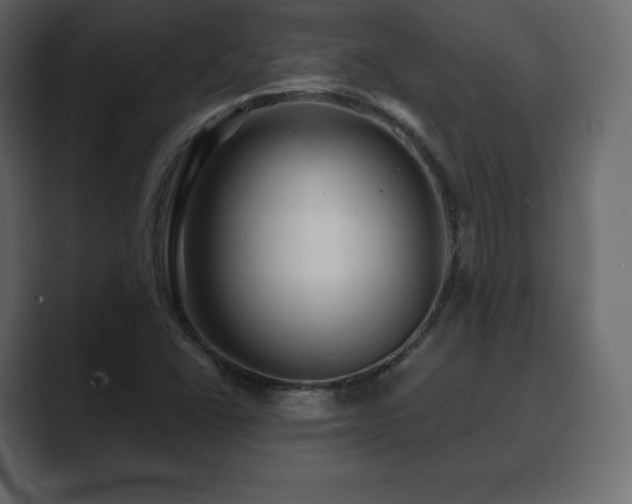 X0000089701406200706281446