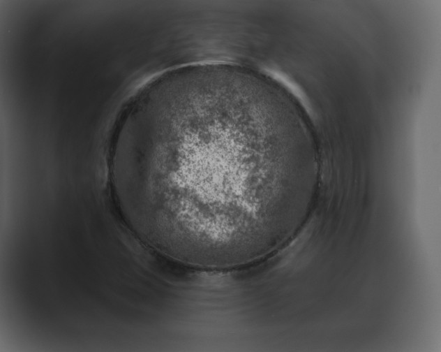 X0000089701407200706281446