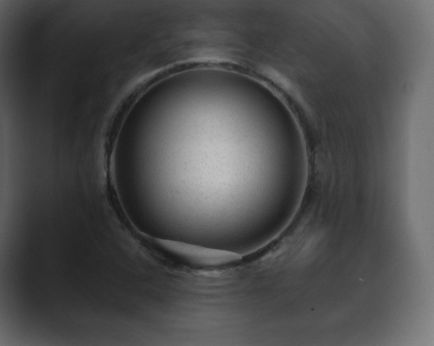 X0000089701408200706281446