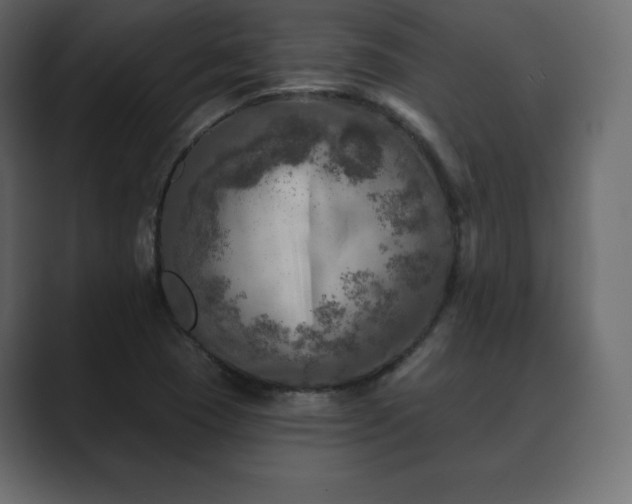 X0000089701409200706281446