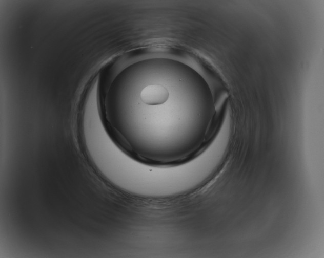 X0000089701410200706281446