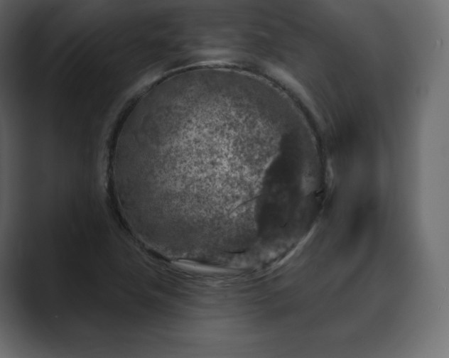 X0000089701411200706281446