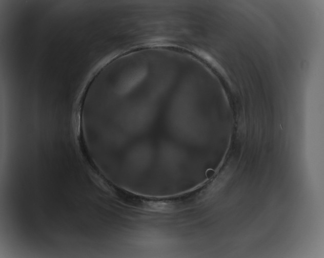 X0000089701413200706281446