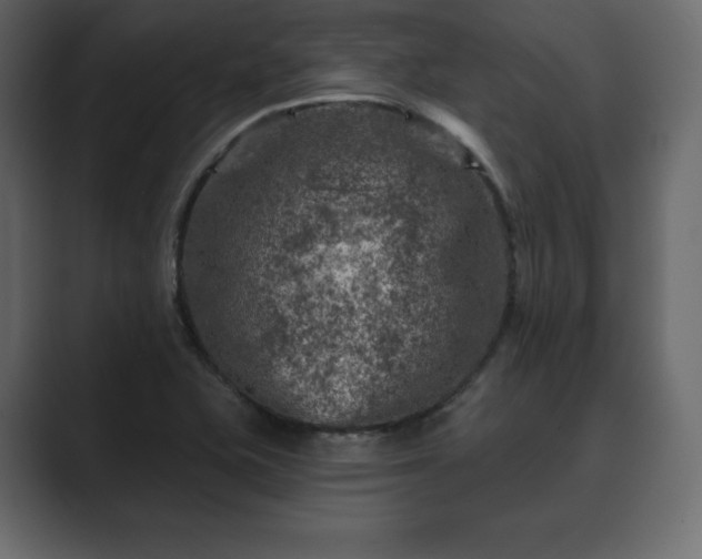 X0000089701415200706281446