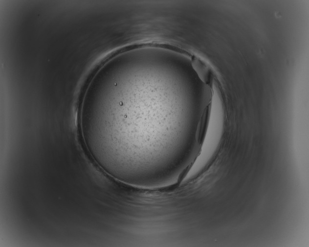 X0000089701416200706281446