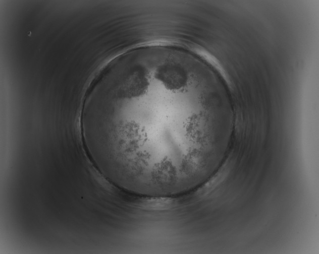 X0000089701417200706281446