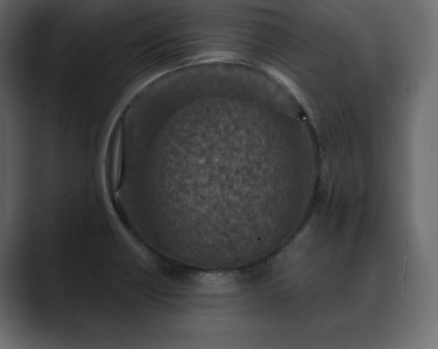 X0000089701418200706281446