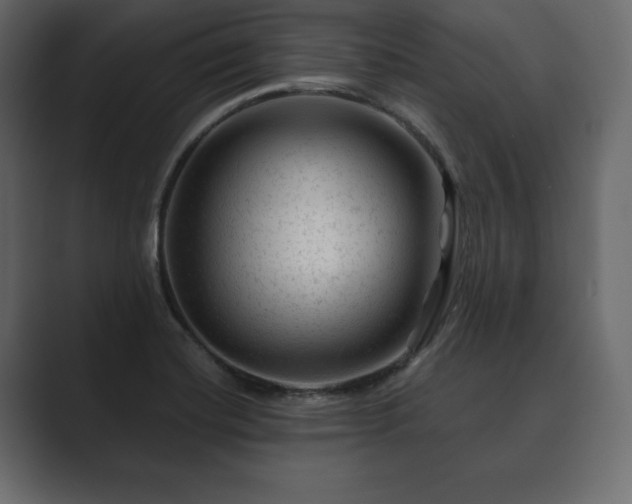 X0000089701420200706281446