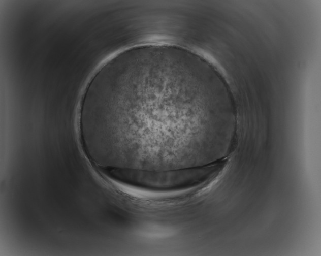 X0000089701421200706281446