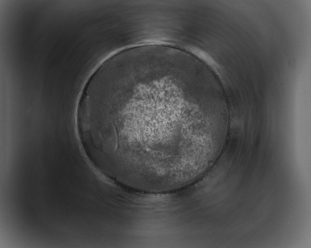 X0000089701423200706281446