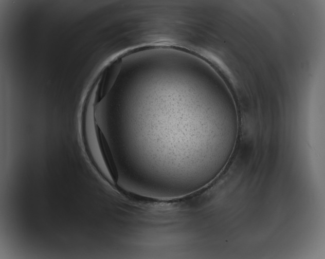 X0000089701424200706281446