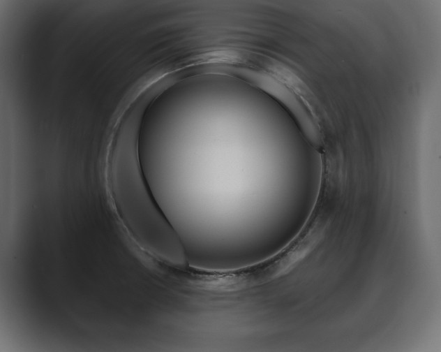 X0000089701426200706281446