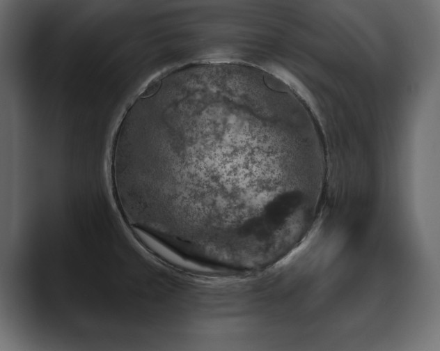X0000089701429200706281446