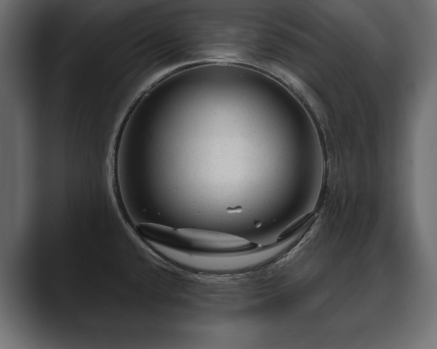 X0000089701432200706281446