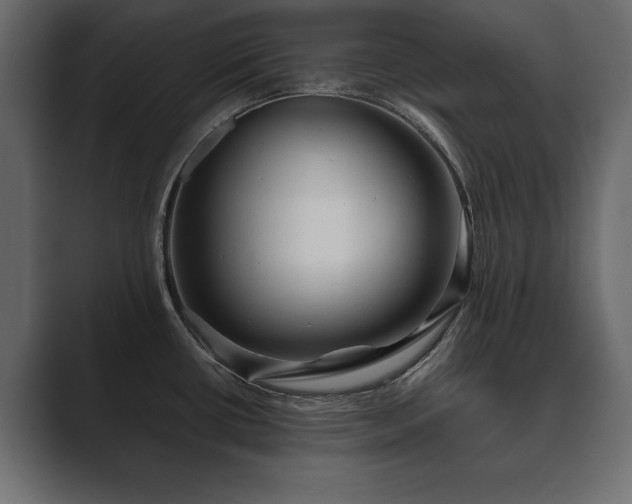 X0000089701434200706281446