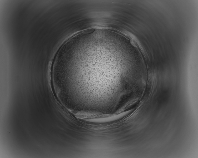 X0000089701435200706281446