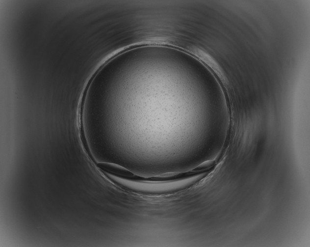 X0000089701436200706281446