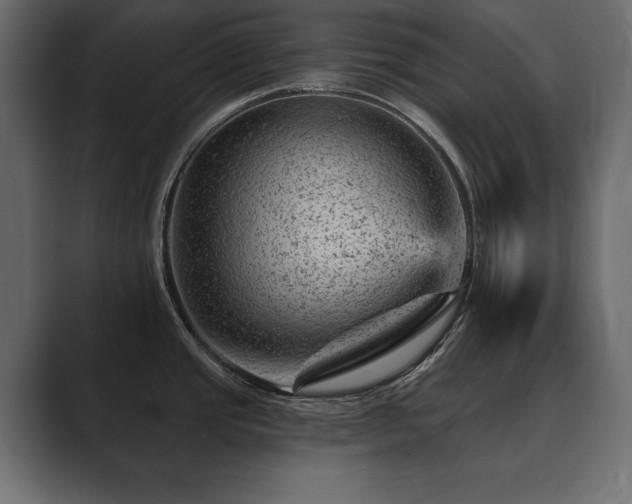 X0000089701437200706281446