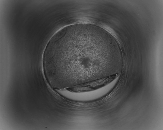 X0000089701439200706281446