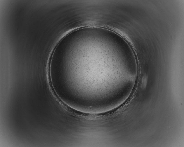 X0000089701440200706281446